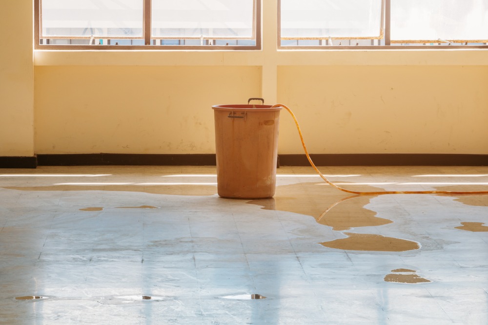 anaheim water damage